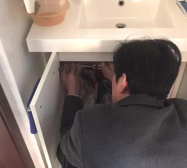 無錫紫蘋果裝飾