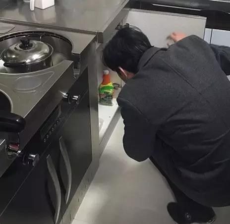 無錫紫蘋果裝飾