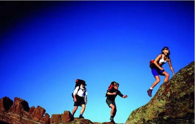 無錫紫蘋果裝飾