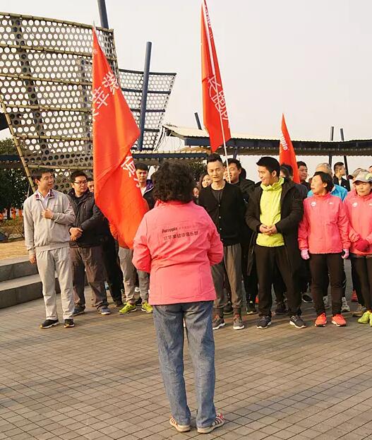 無錫紫蘋果裝飾