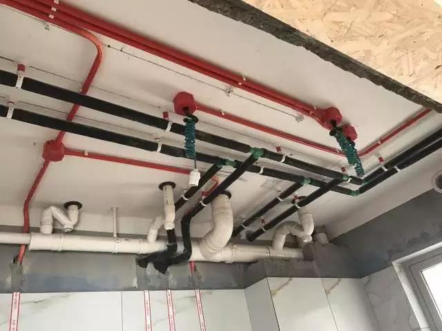 無錫紫蘋果裝飾