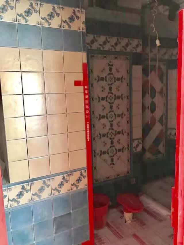 無錫紫蘋果裝飾