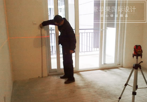 無錫紫蘋果裝飾