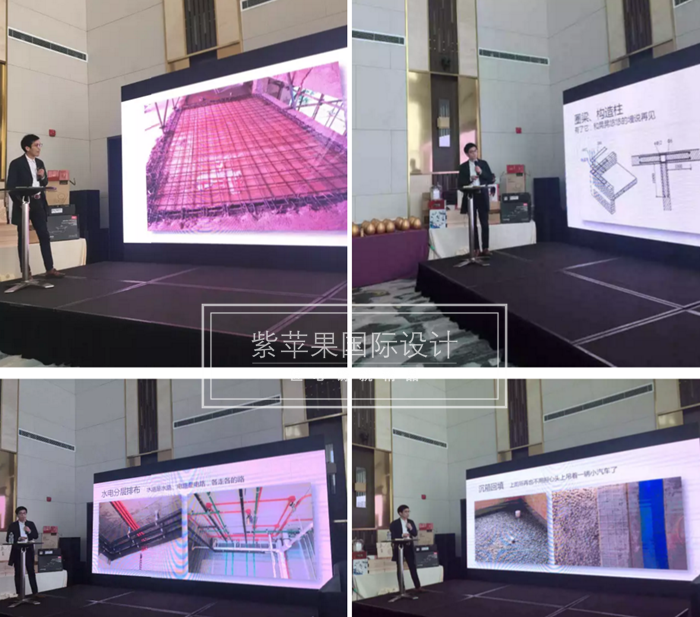 無錫紫蘋果裝飾