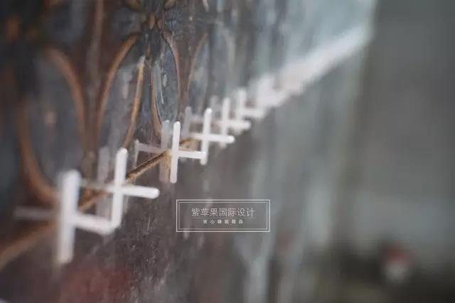 無錫紫蘋果裝飾