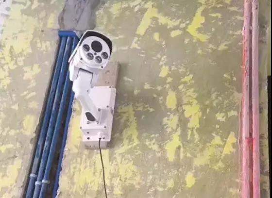 無錫紫蘋果裝飾