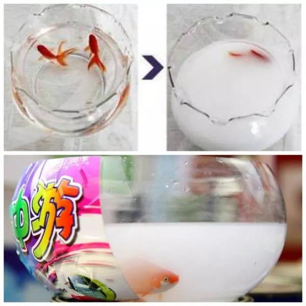 無錫紫蘋果裝飾