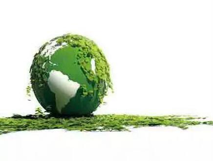 無錫紫蘋果裝飾