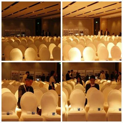 無(wú)錫紫蘋果裝飾