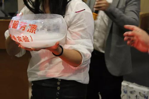 無錫紫蘋果裝飾