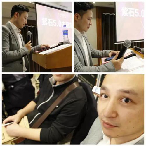 無錫紫蘋果裝飾