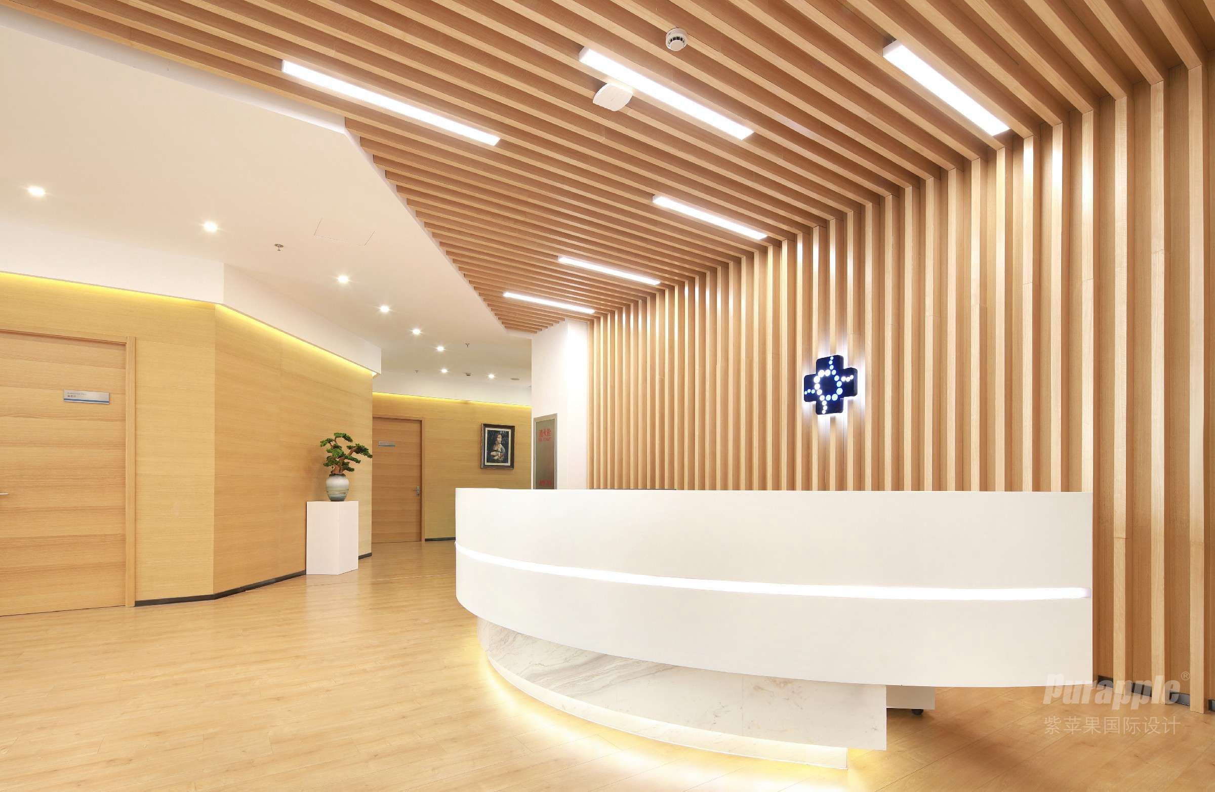 上海云欣路2000㎡生物科技辦公室