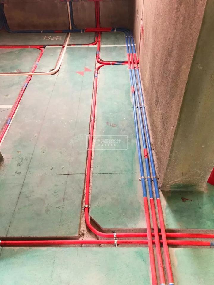 無錫紫蘋果裝飾