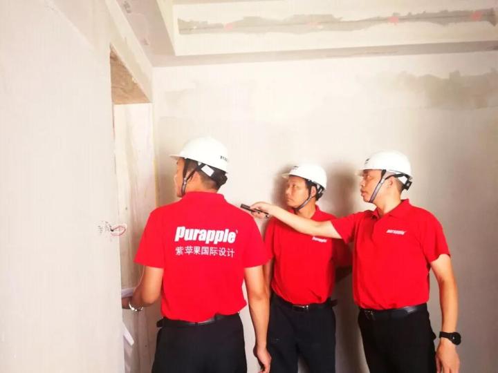 無錫紫蘋果裝飾