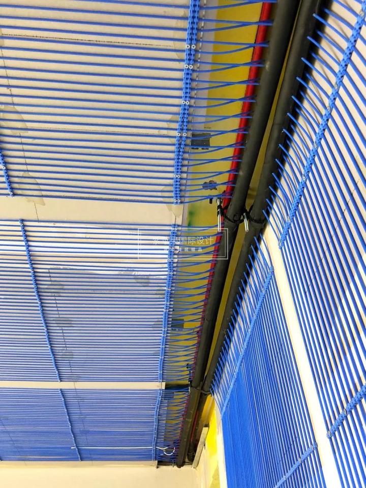 無錫紫蘋果裝飾