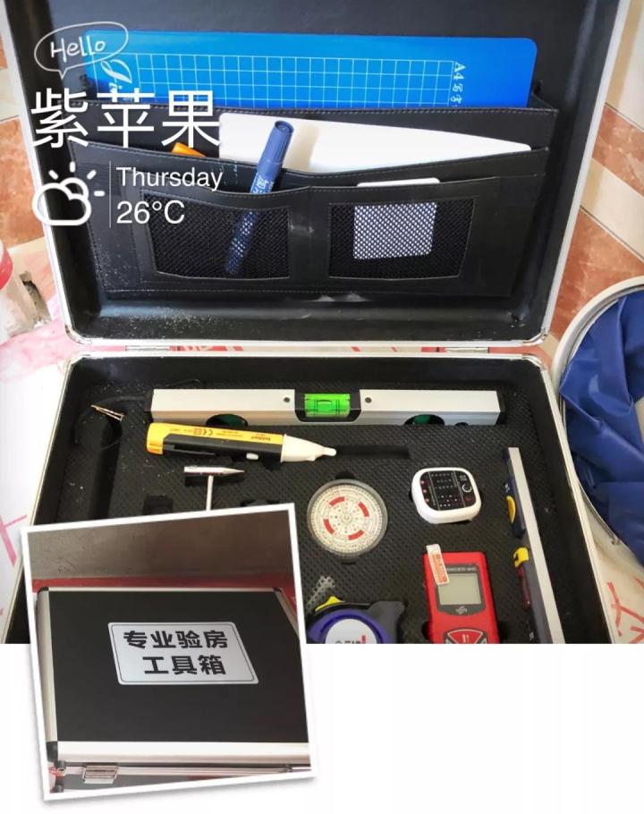 無錫紫蘋果裝飾