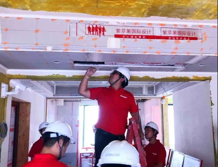 無錫紫蘋果裝飾