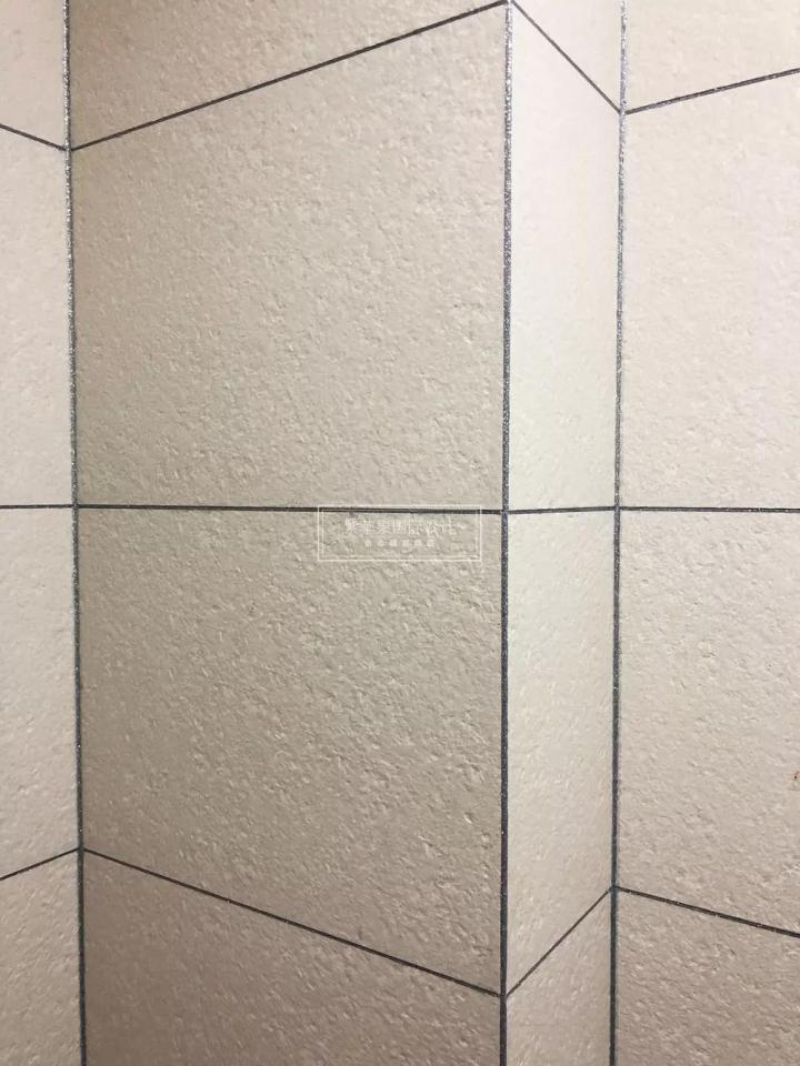 無錫紫蘋果裝飾